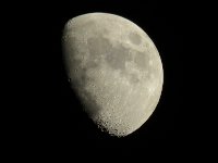 IMG 0127b